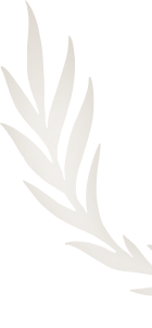 Leaf Background