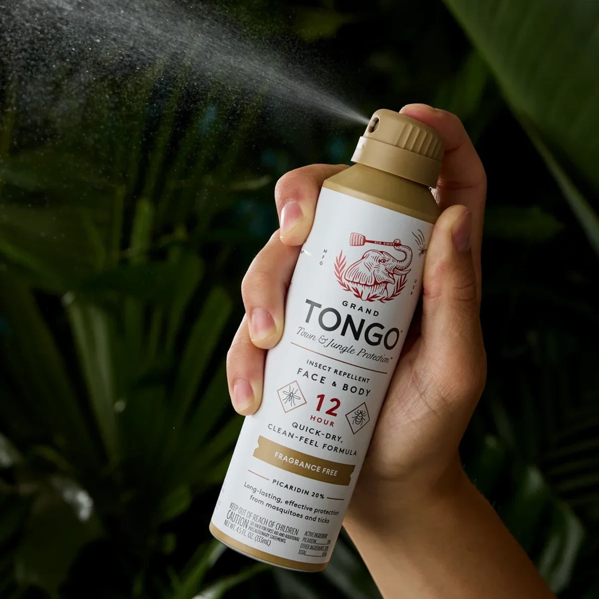 Full Size — Grand Tongo